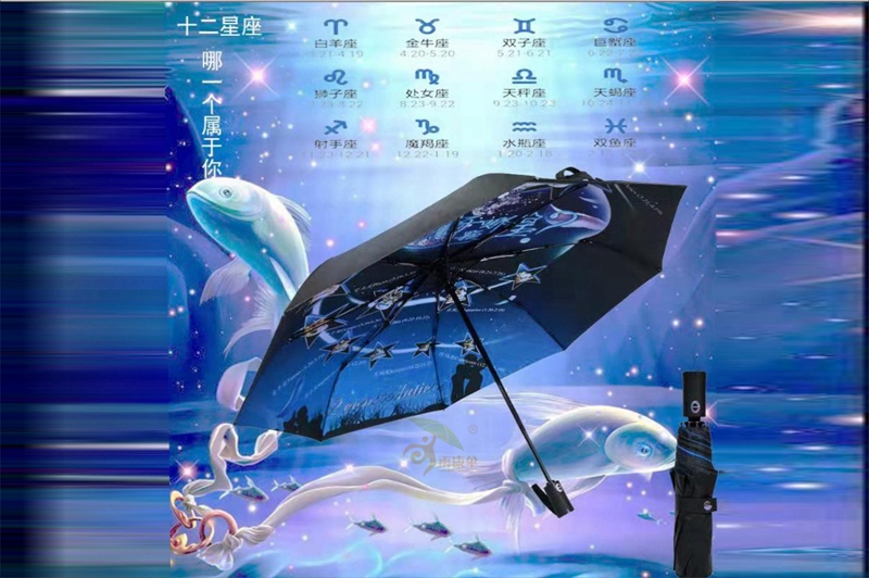星座TXVLOG糖心官方版自動傘 yk-SJZD91